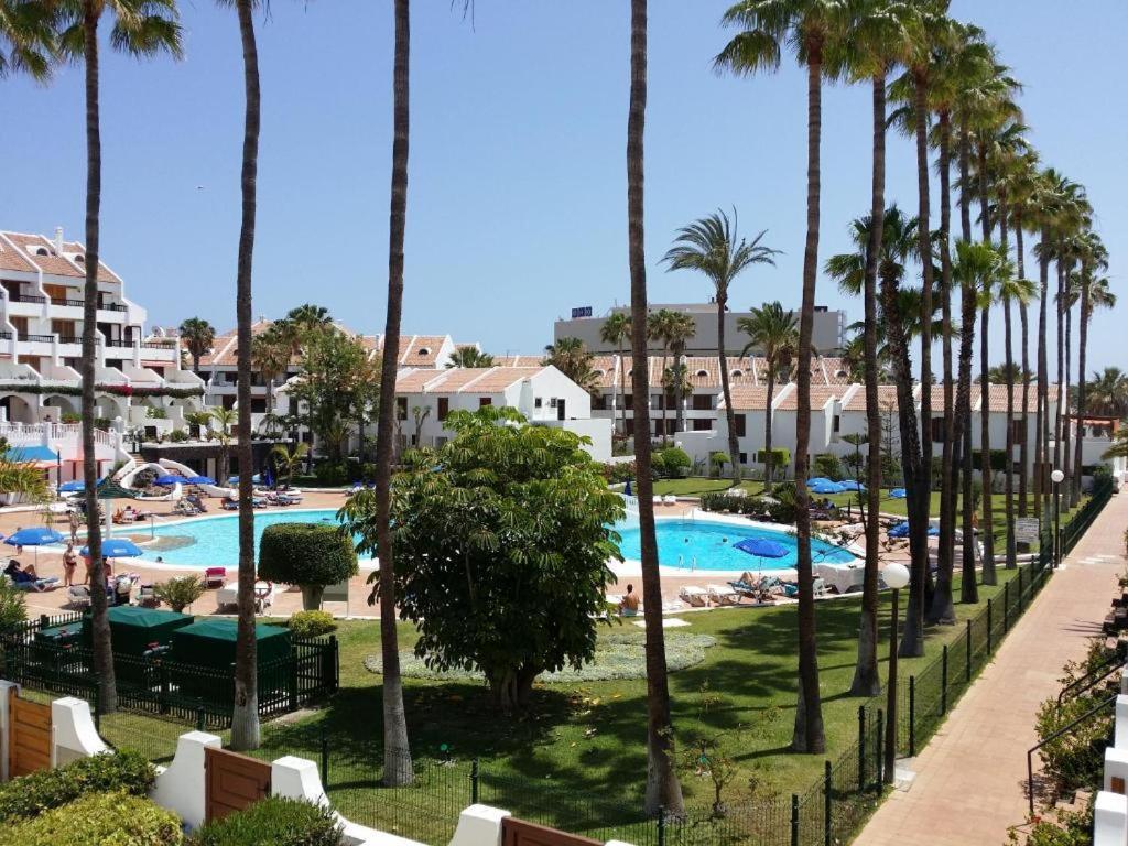 Estudio En Tenerife Sur, Parque Santiago 2 Arona  Eksteriør bilde